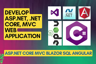be your asp dot net developer for web application