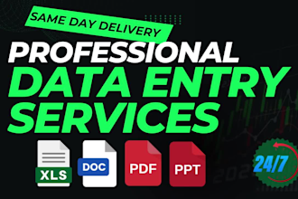 do web research, data entry, copy paste, pdf to excel, data cleaning, assistant