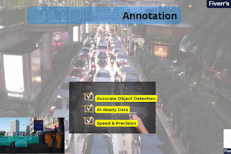 do expert data annotation, image annotation and data labeling services