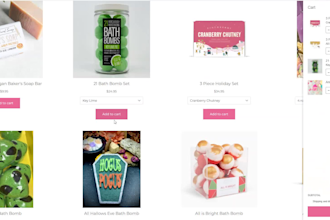 do custom shopify coding and bug fixes