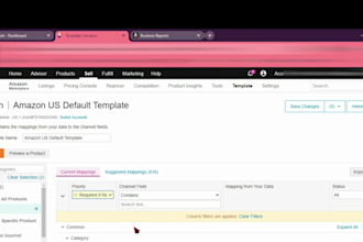 be your virtual assistant channel advisor, ecommdesh, sellercloud