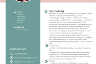 do professional CV design or resume design in 3 hours
