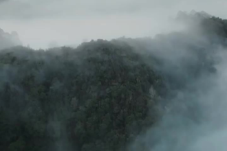 télépilote de drone, réalisateur