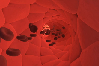 do 3d medical animation 3d fluid  water particles blood simulation in houdini