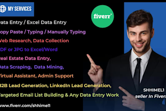 do excel data entry,web research and admin support work