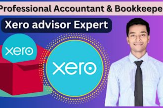 do xero bookkeeping and accounting