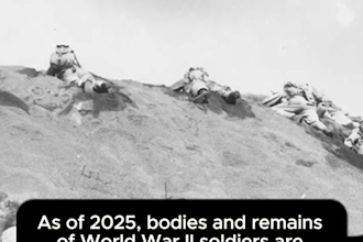 l create catchy and entertaining historical videos