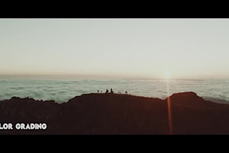 professionally color grade your footage in adobe premiere pro