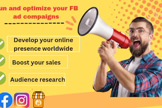 be your facebook insta ads master ,  run shopify sales campaign