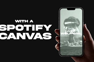 make you a spotify canvas for your songs