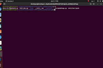 do advanced web scraping with python