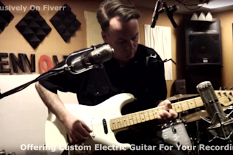 play electric guitar or steel guitar on your song