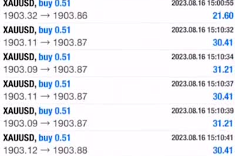 create forex trading bot, forex ea bot, forex bot, trading bot forex trading bot