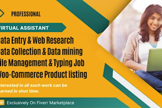 do accurate data entry, typing work, and excel data cleanup professionally