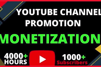 do shoutout youtube channel promotion on my 688 million organic subscriber