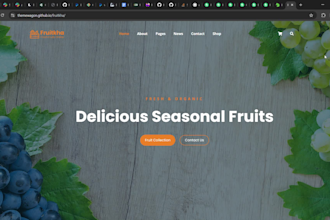 develop django backend, admin panel and API for your project