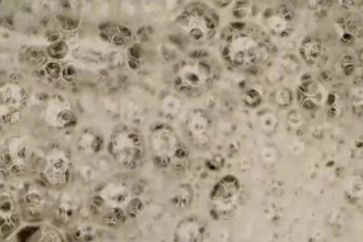 create 3d wine animation 3d beverages 3d soda 3d product design 3d beer