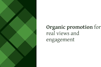 be your best youtube seo expert and video promotion as channel manager