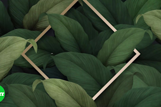 create motion graphics template, lower thirds and video editing