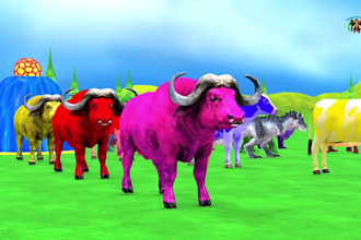 create funny 3d animal animation for kids