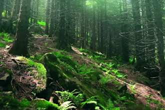 create channel and 50 relaxing meditation music videos for youtube