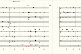 make musical arrangements for any style and genre