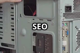fix wordpress and SEO errors or bugs quickly