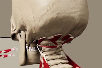 create high quality 3d medical animation and explainer video animations