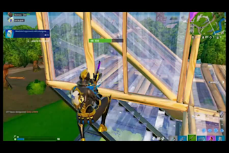 coach you for a cheap price in fortnite