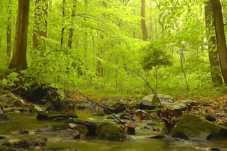 create meditation music tracks