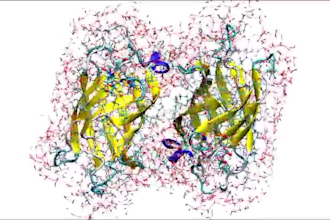 do docking simulation mmgbsa pca dccm analysis