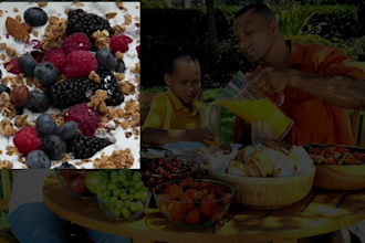 edit documenatry videos using stock footage within 24 hours