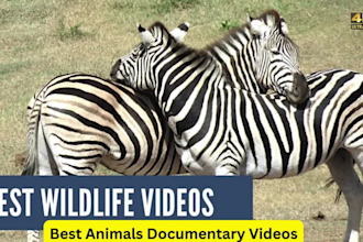 provide animals documentary videos for youtube copyright free