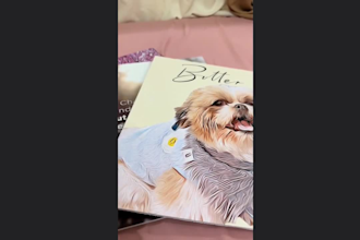 custom pet portrait drawing digital paintings
