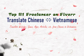 translate chinese to vietnamese subtitles for movie dramas