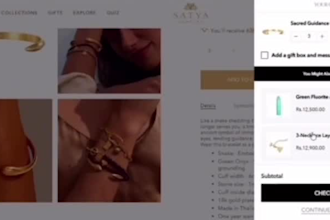 build conversion focused online stores that sell