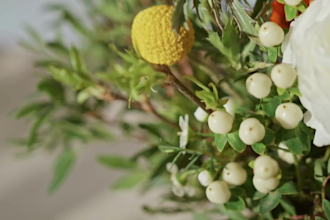 create funeral slideshow of your beloved with images and clips