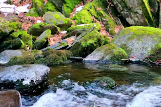 create youtube channel and upload 50 meditation  meditation and relaxing videos