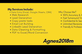 do data entry, web research, excel, admin support work,email, copy paste