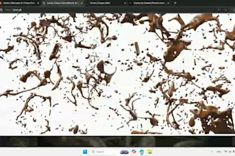 convert figma to wordpress, PSD to wordpress, figma to elementor, xd to wordpres