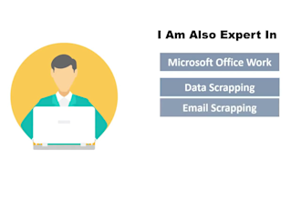do expert data entry, copypaste, research assignments