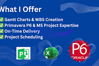 prepare schedule on primavera p6 or ms project