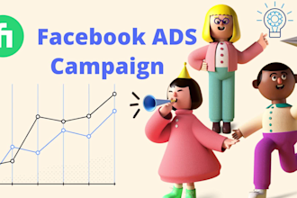 do ads setup and optimize  targeted facebook ads campaign