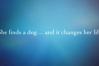 create amazing book trailer and book promotion for you