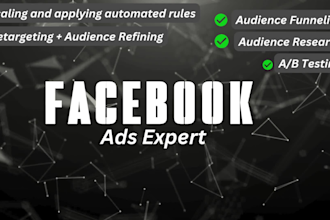 setup and manage facebook ads campaigns with proper audience funneling