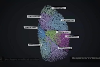 create stunning 3d medical animation videos for healthcare and education