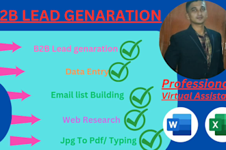 be your virtual assistant for data entry,excel, web research,copy past,