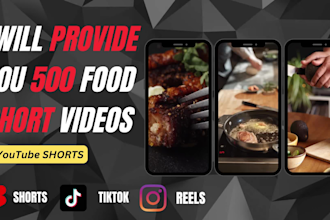 provide you 500 food shorts