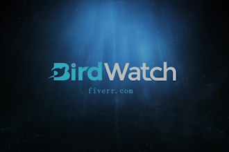 create custom logo animation and intro outro video