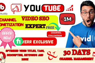 do best optimized youtube video SEO optimization